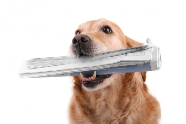 Соллерс вышел из состава совладельцев Ауруса